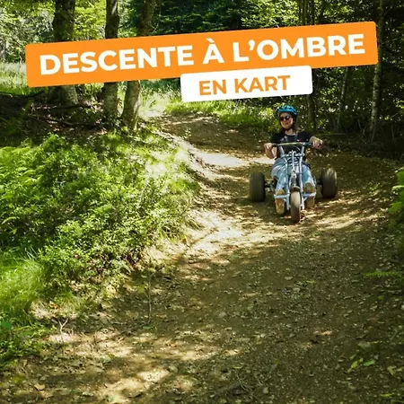 Apartmán Le Nid Mansarde *