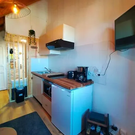 Le Nid Mansarde Apartment *