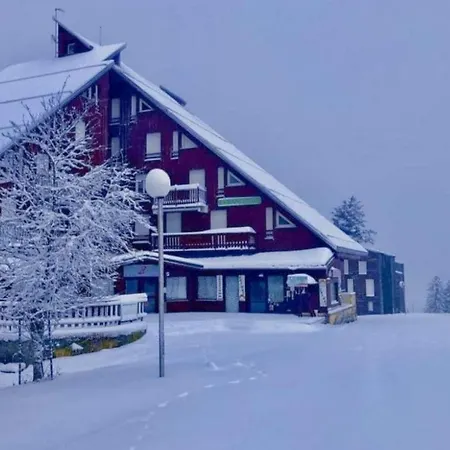 Le Nid Mansarde * Ustou