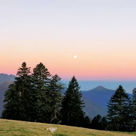 Le Nid Mansarde * Ustou