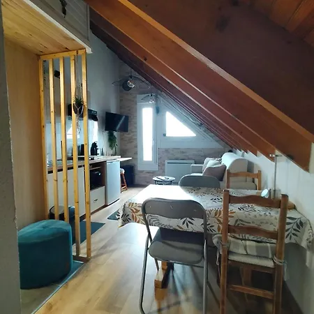 Le Nid Mansarde Apartment