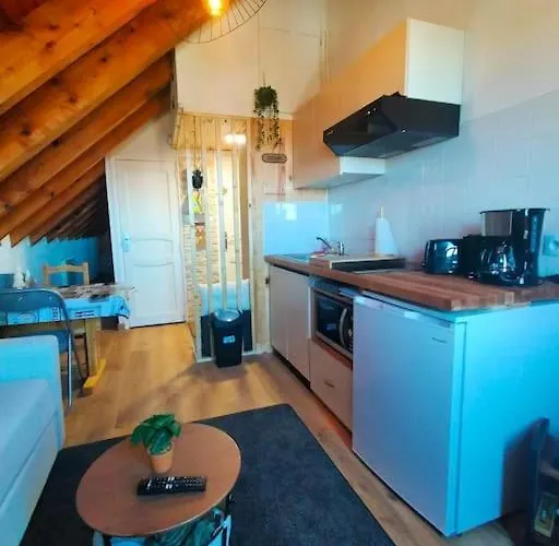 Apartment Le Nid Mansarde Ustou