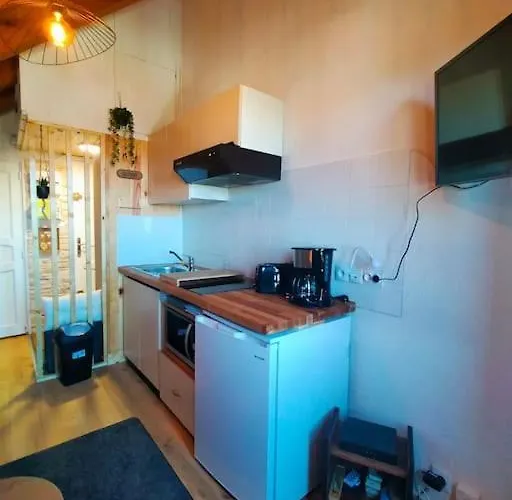 Le Nid Mansarde Apartment *